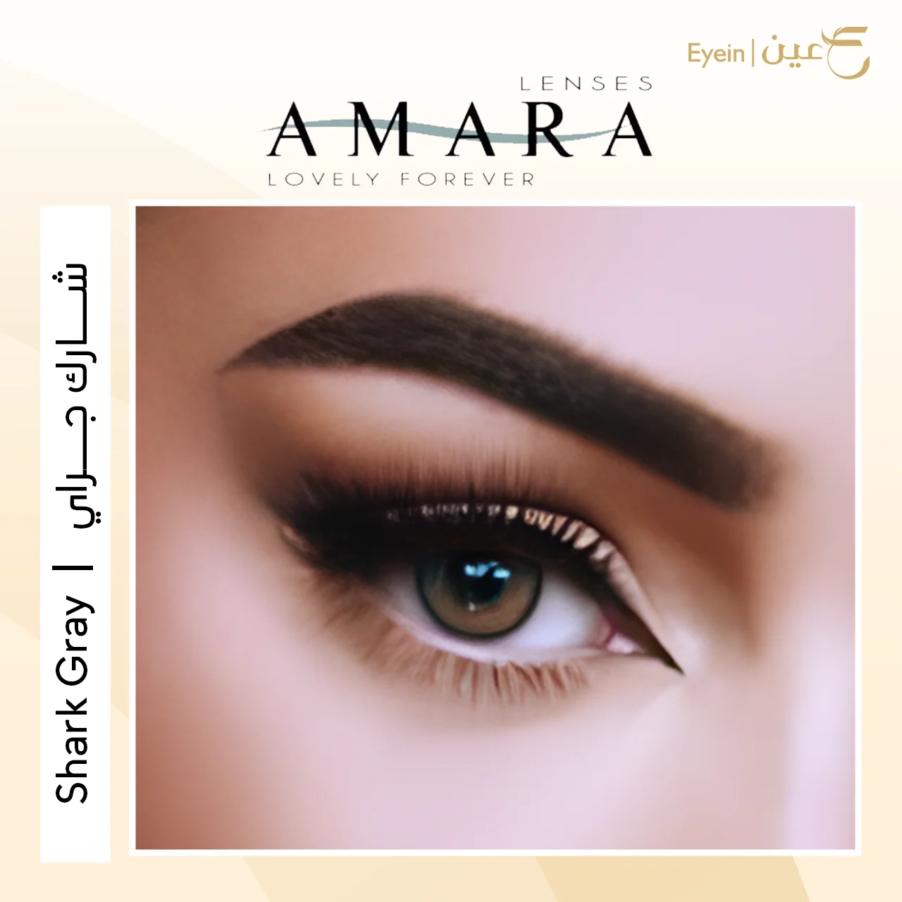 عدسات أمارا اليومية - شارك جراي